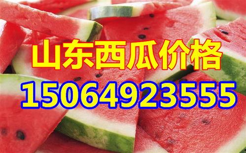 今日头瓜收购价格,涨跌互现，市场动态解析