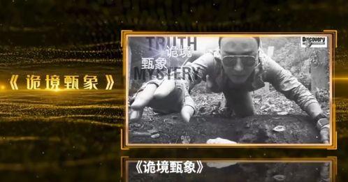 明星网红命理分析图,命运轨迹与人生抉择