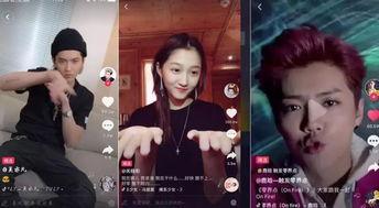 明星网红动作视频在线观看,明星风采瞬间捕捉