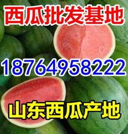 今日份瓜价,今日市场行情一览