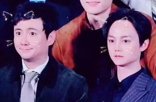 明星网红滤镜软件是什么,明星同款滤镜背后的秘密