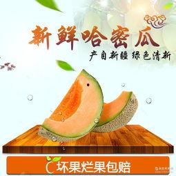 今日新疆哈密瓜批发价,甜蜜瓜果价格波动解析”