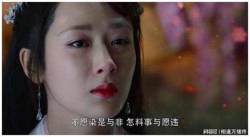 蹭明星网红流量无脑视频,蹭明星热度，却失去自我