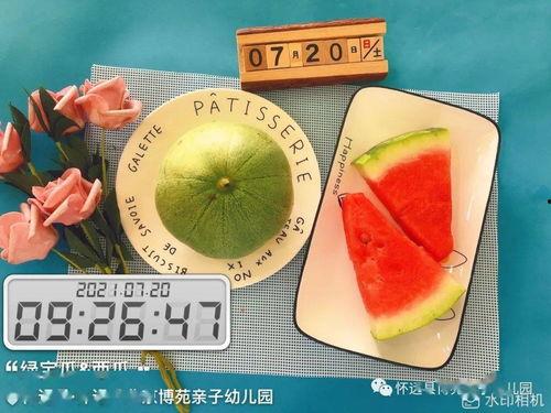 今日绿宝瓜价格,市场波动下的新鲜行情