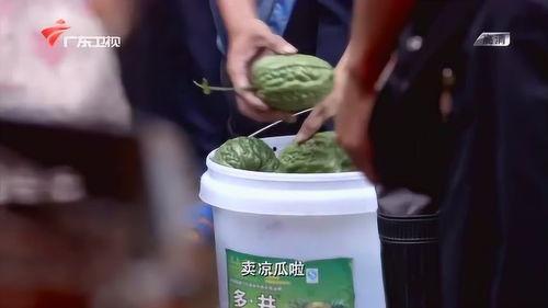 凉瓜今日价格行情,涨跌波动一览无遗