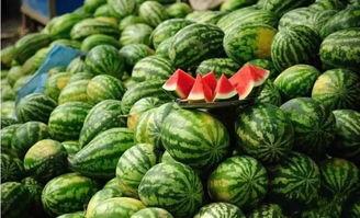 历史回顾黑料吃瓜,那些被尘封的黑料与吃瓜瞬间
