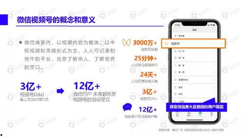 明星网红转场视频素材下载,揭秘热门视频素材背后的魅力