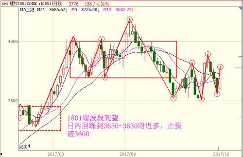 黑瓜今日价格行情走势,今日行情走势解析