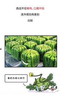 今日吃瓜历史记录图片