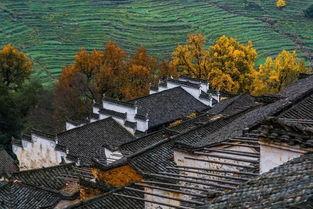 去篁岭的明星网红,明星网红打卡地，探寻古村新风尚