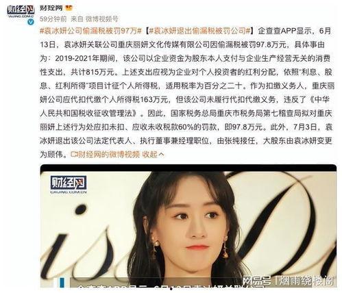 为什么明星网红要偷税,揭秘明星网红偷税背后的动机与真相