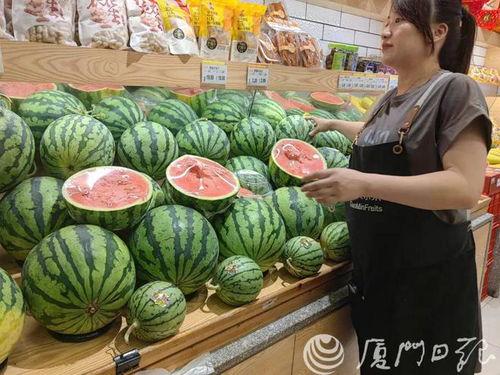 今日蕃瓜价格,今日蕃瓜价格波动解析
