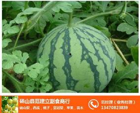 安徽砀山瓜今日价格,价格行情一览