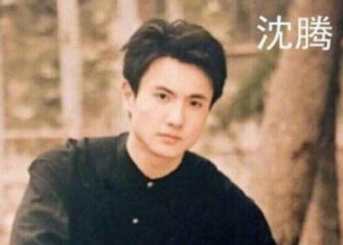今日吃瓜沈樵,揭秘沈樵背后的故事