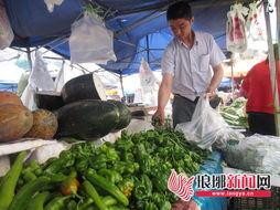 角瓜价格今日山东菜价,今日角瓜价格动态解析”