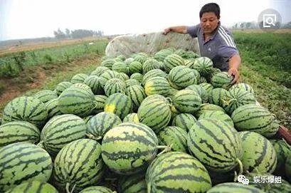 瓜姐吃瓜今日,揭秘娱乐圈最新热点事件