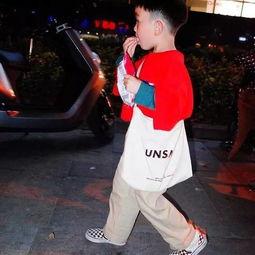 像明星网红小男孩,揭秘网红小男孩的明星之路