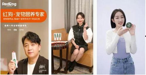 明星网红宠粉图片大全,甜蜜互动图片大盘点