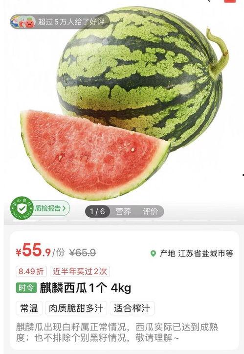 现在麒麟瓜今日价格