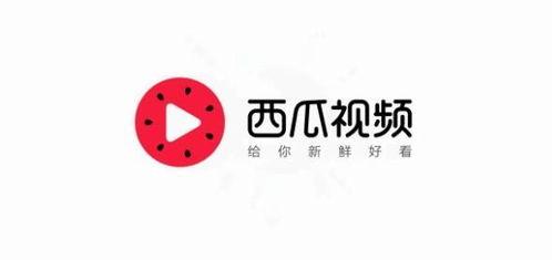 洛阳今日头条卖瓜,街头卖瓜，夏日清凉一夏，瓜农故事暖心呈现