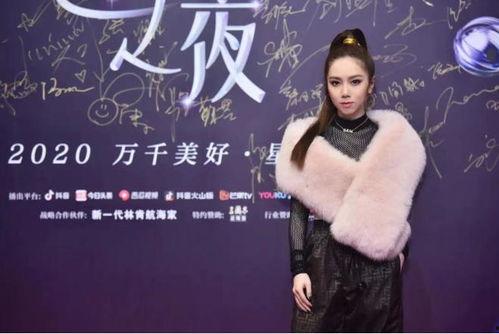 抖音盛典明星网红区别,明星与网红的璀璨对决