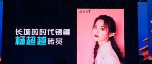 明星网红综艺歌词大全集,明星网红热歌盘点