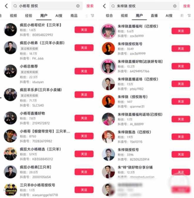 明星网红授权渠道是什么,揭秘网红经济背后的秘密