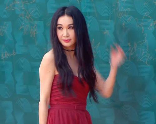 明星网红走红毯徐璐,走红毯风采夺目