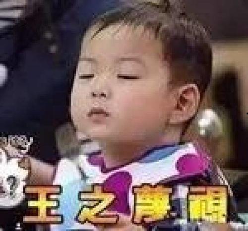 明星网红小孩表情包图片,网红小孩表情包里的欢乐时光