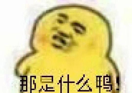 今日份吃瓜现场表情包