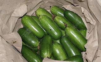 海南今日毛瓜价格表,市场行情一览