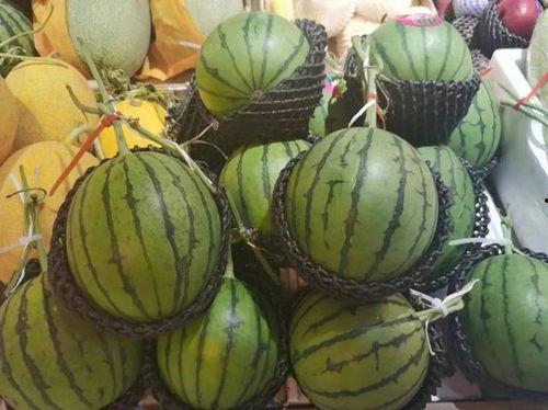 海南今日毛瓜价格表,市场行情一览