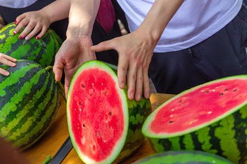 海口今日吃瓜新闻报道,今日新闻聚焦街头巷尾新鲜事