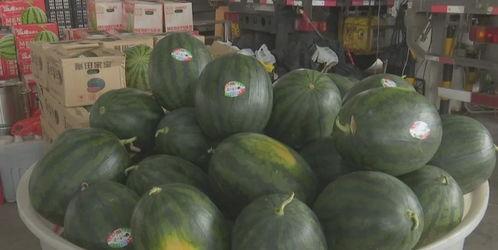 今日吃瓜必吃大瓜免费翰林府,免费翰林府，揭秘神秘豪宅背后的故事