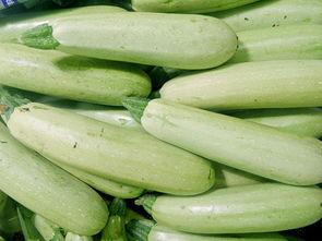 云南小瓜今日价格,市场行情一览”