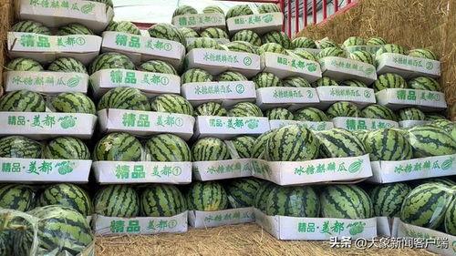 麒麟瓜今日零售价格,新鲜上市，品质保证