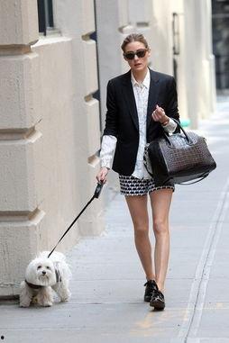 明星网红连衣裙穿搭,时尚与舒适的完美融合