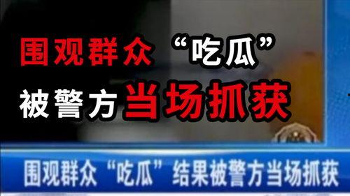 今日新闻吃瓜事件,吃瓜群众围观娱乐圈最新悬疑大戏