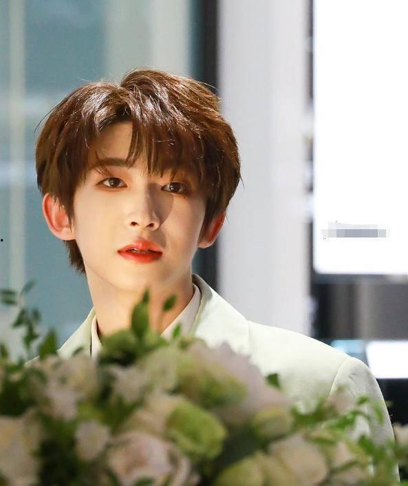 明星网红虚假人设案例,真实与虚幻的较量