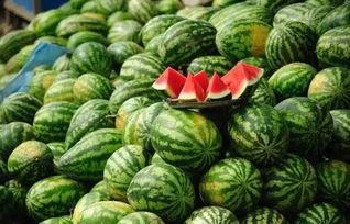 黑方瓜怎么吃最好吃视频,视频教你如何吃出最佳口感