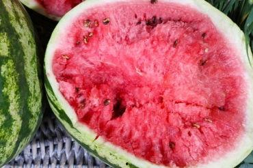 小盘瓜今日价格行情,价格波动解析与市场趋势洞察