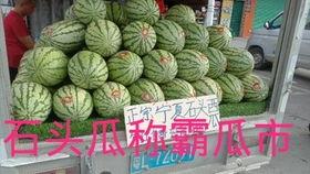 小盘瓜今日价格行情,价格波动解析与市场趋势洞察