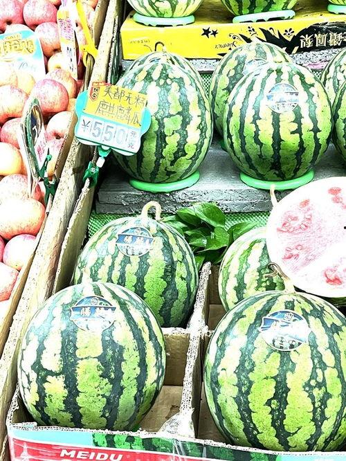 莞香麒麟瓜今日价格,价格行情一览”