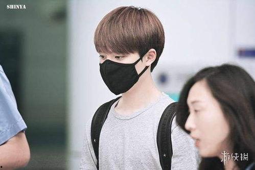 明星网红口罩3d,时尚潮流与科技融合的视觉盛宴