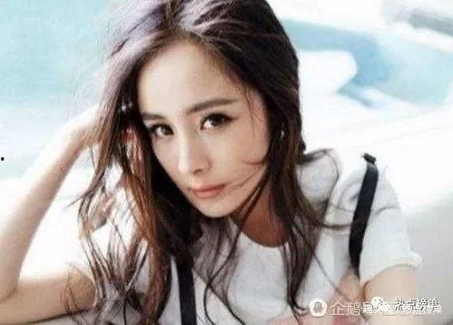 世界明星网红排名榜