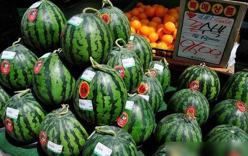 瓜吧瓜农今日吃瓜,今日吃瓜，笑谈农事