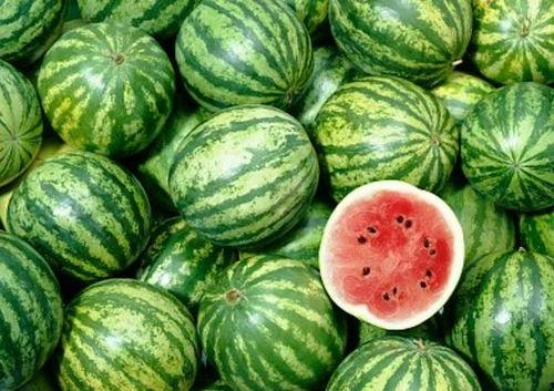 瓜吧瓜农今日吃瓜,今日吃瓜，笑谈农事