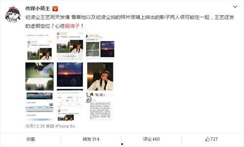 小明星网红属性是什么,揭秘网红属性的璀璨魅力