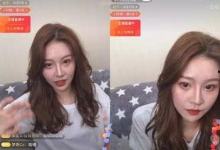 小明星网红属性是什么,揭秘网红属性的璀璨魅力