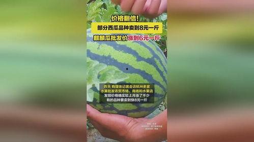 今日正阳麒麟瓜批发价格,品质瓜果，价格走俏